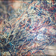 Illustration for article titled Mysterious Magenta Fibers Crawling Out Of Your Skin? You're Not Alone!